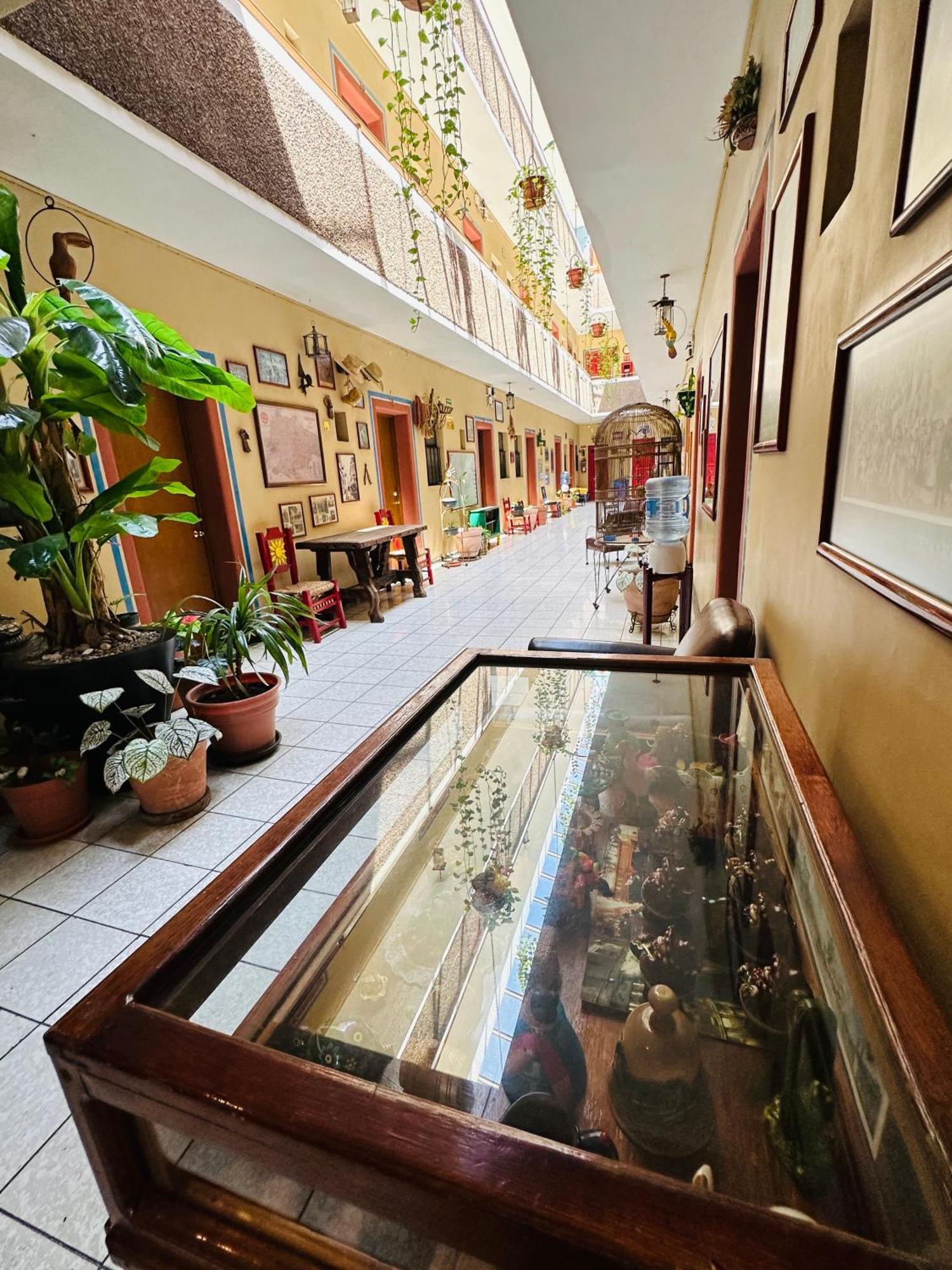 Hotel Janeiro Guadalajara Extérieur photo