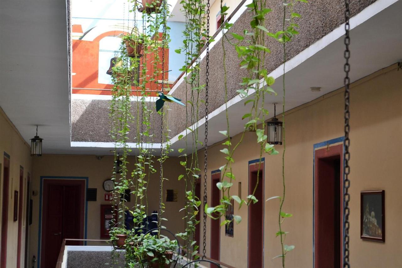 Hotel Janeiro Guadalajara Extérieur photo