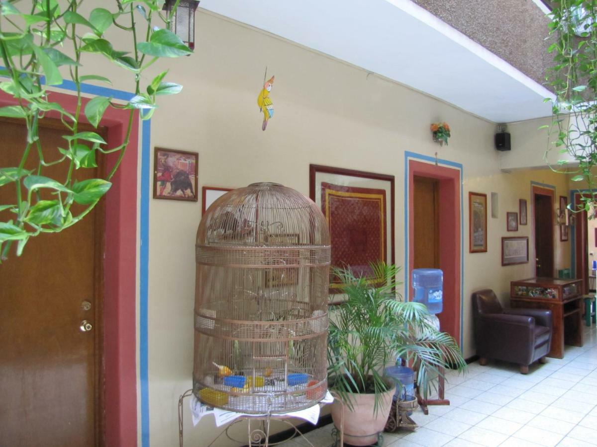 Hotel Janeiro Guadalajara Extérieur photo